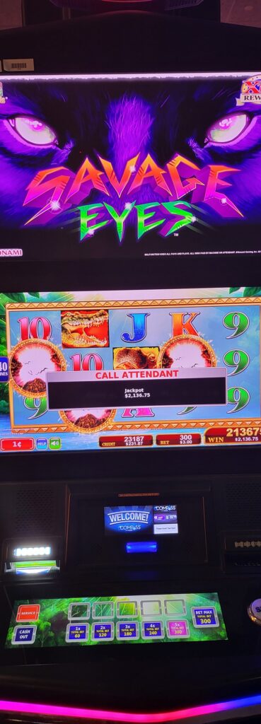 This Lucky Guest Won Over $2,000 On Savage Eyes At Mole Lake Casino