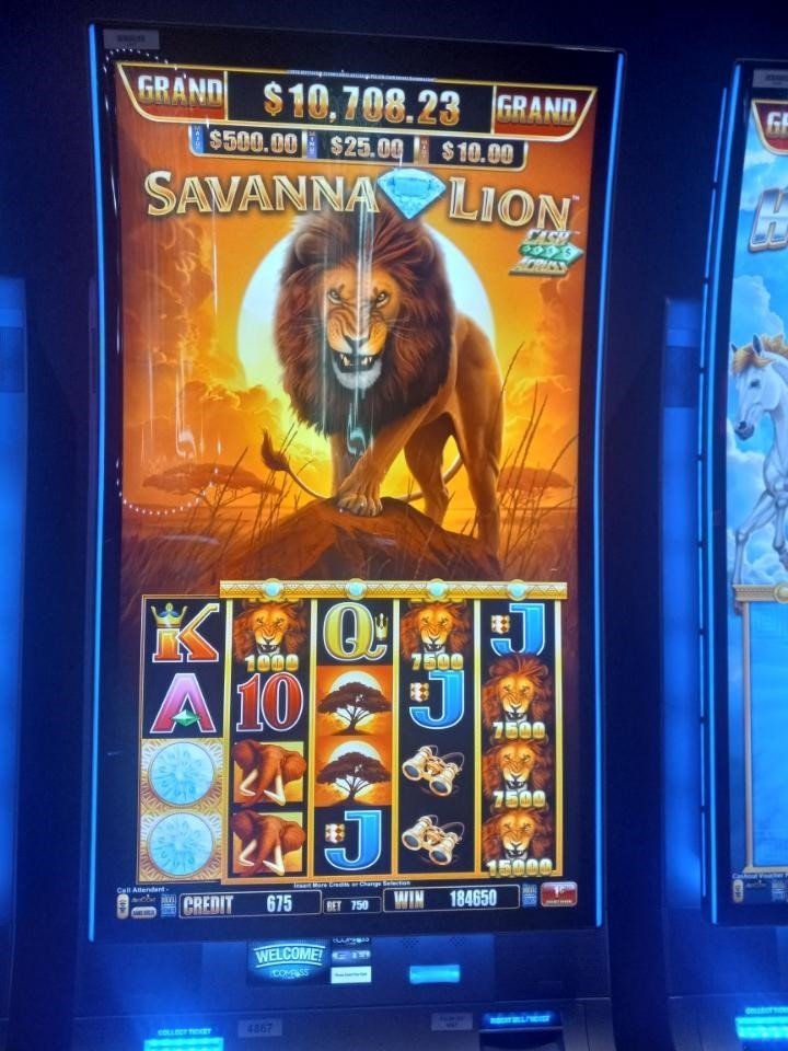 Play Savanna Lion At Mole Lake Casino In Crandon
