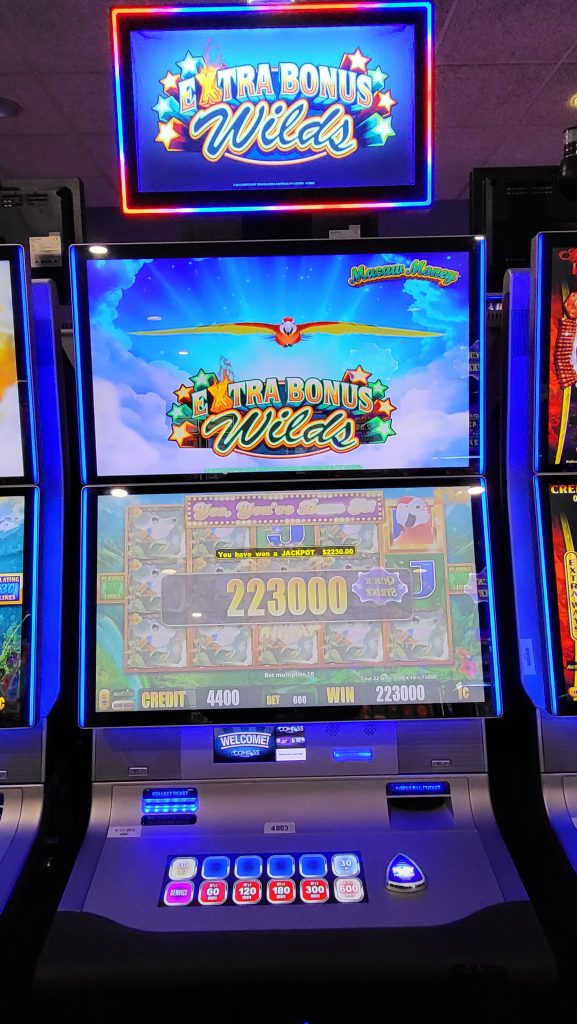 Play Extra Bonus Wilds at Mole Lake Casino