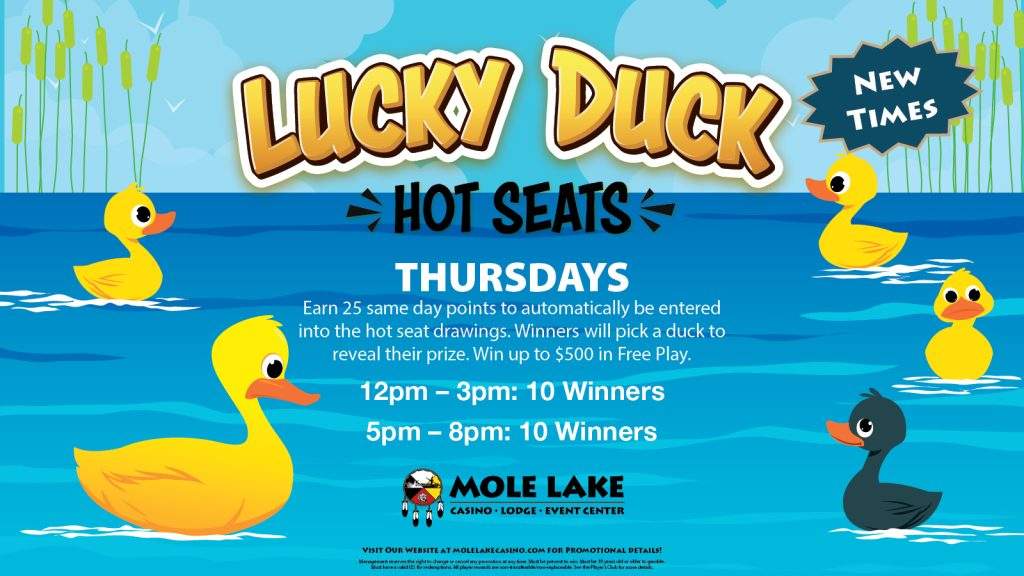 LuckyDuck-LCD-Oct25