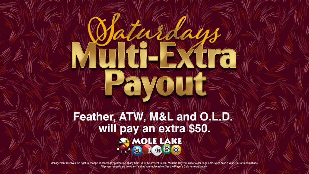 Bingo-Sat-MultiExtra-LCD-Nov25