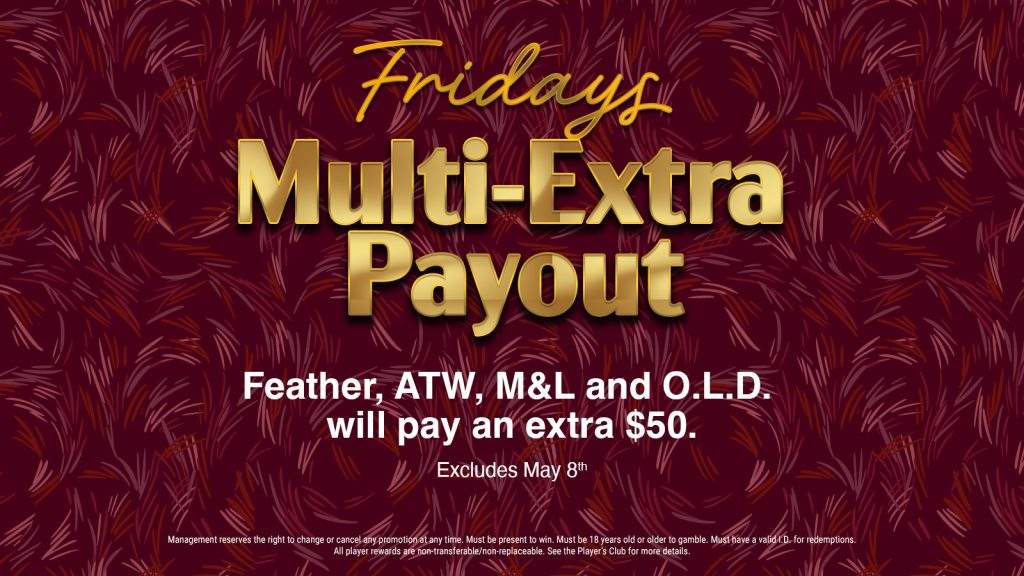 Bingo-Fri-MultiExtra-LCD (1)