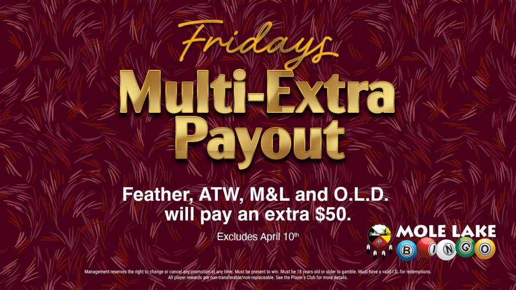 Bingo-Fri-MultiExtra-LCD