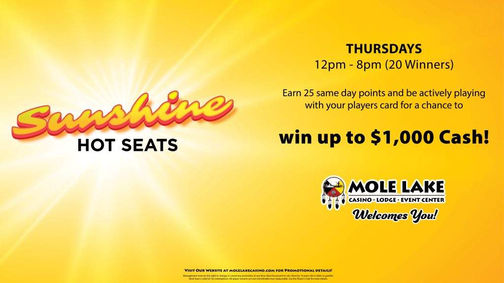 SunshineHotSeats-LCD