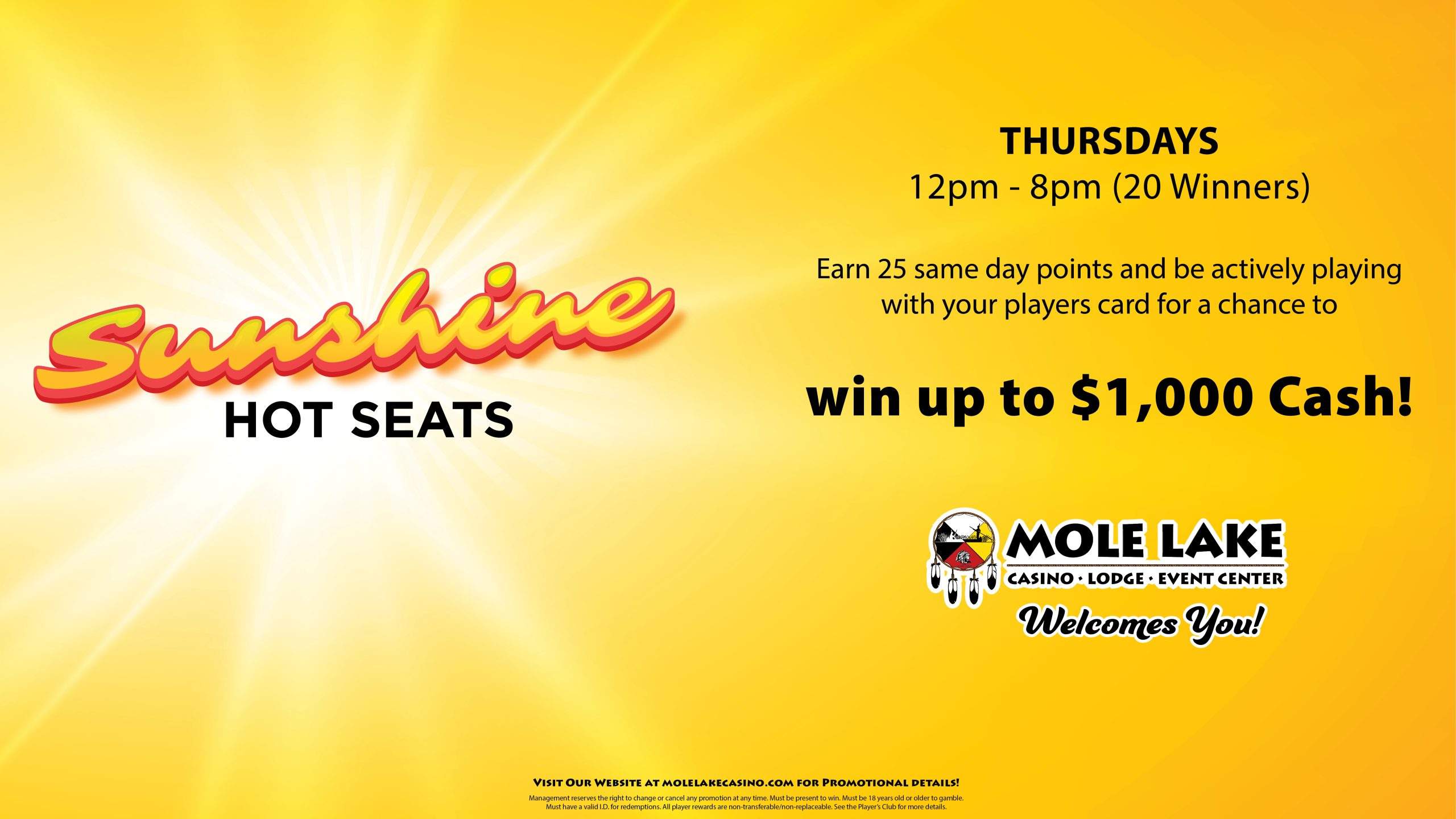 SunshineHotSeats-LCD