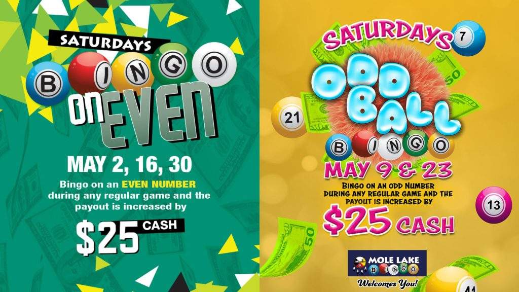 Saturday bingo promotion graphic from Mole Lake Bingo featuring ‘Bingo on Even’ and ‘Odd Ball Bingo’ specials with increased $25 cash payouts for winning on even or odd numbers during select May bingo games.